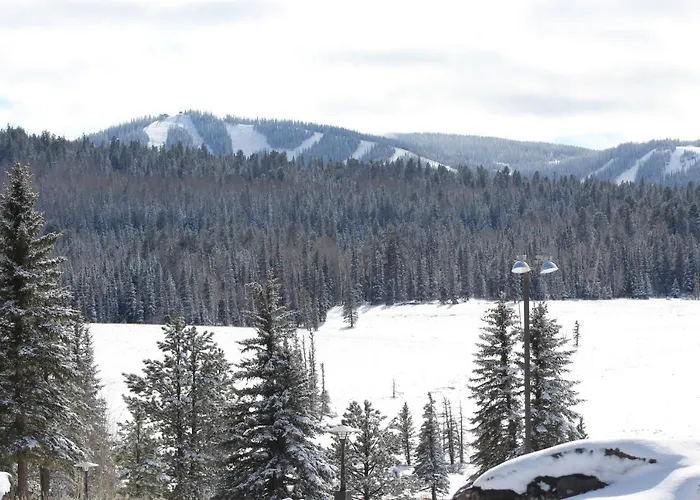 Sunrise Park Hotel